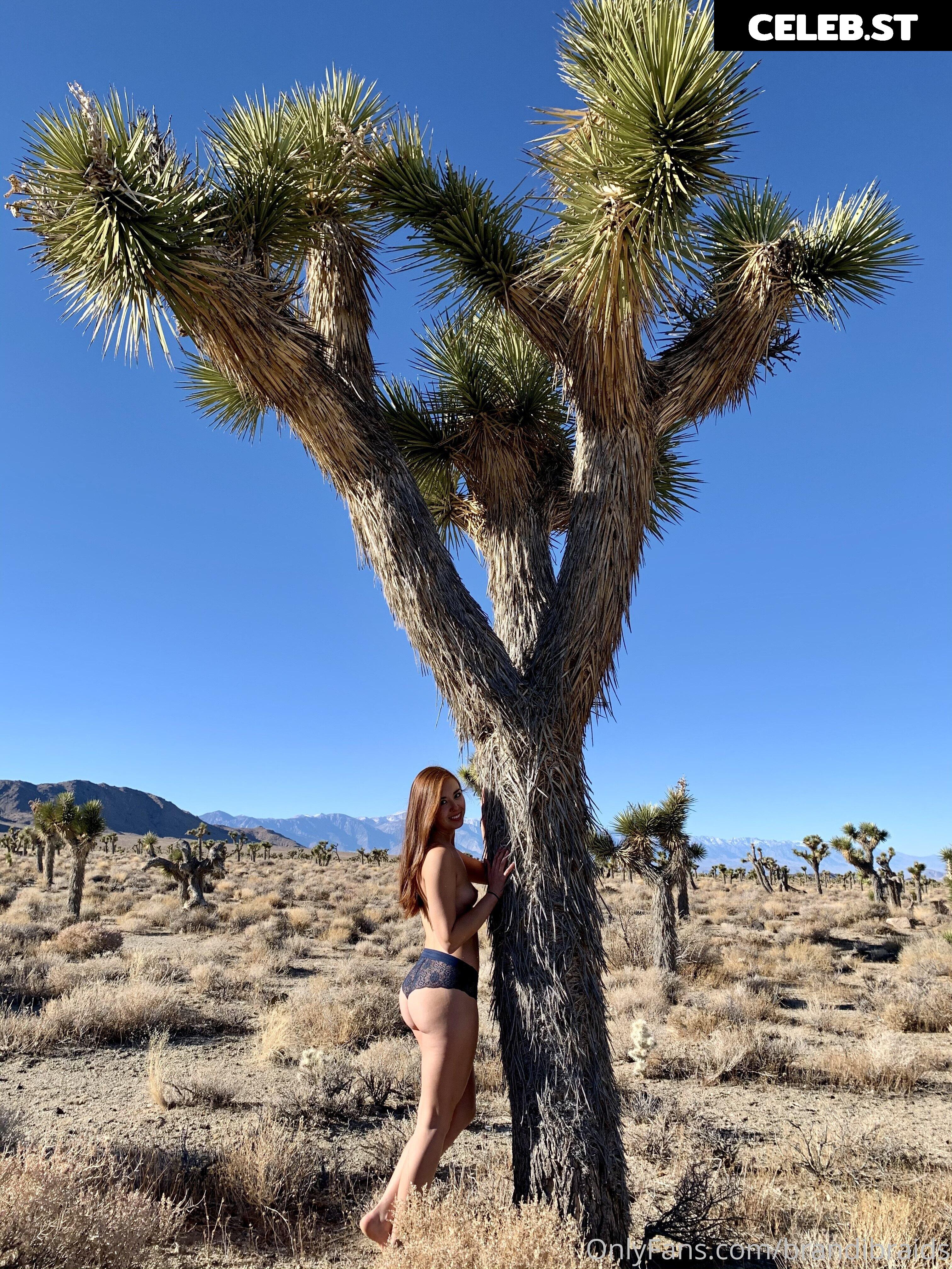 Brandibraids / Brandi Braids Image 12484154