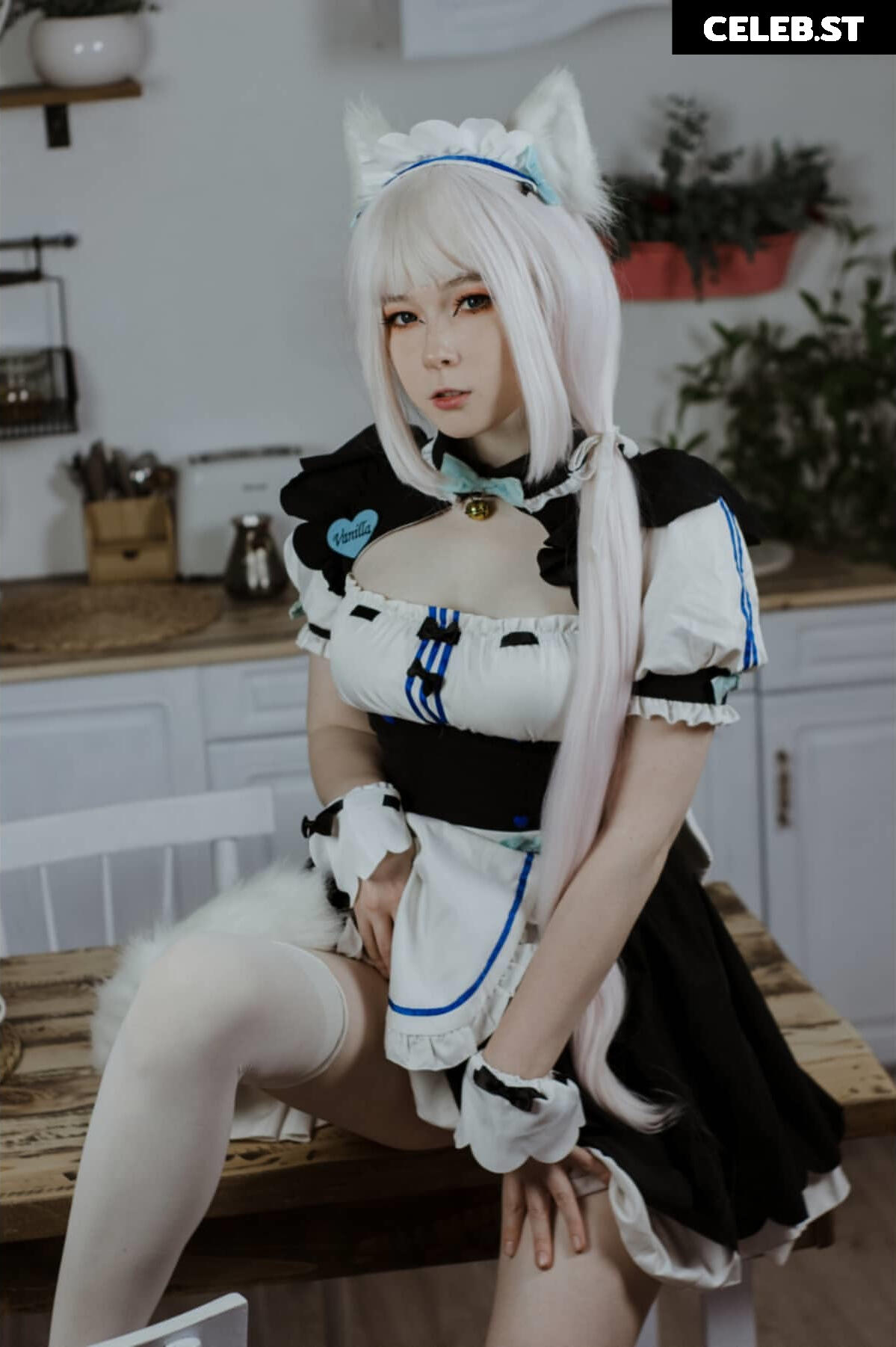 visagefox Image 12489723