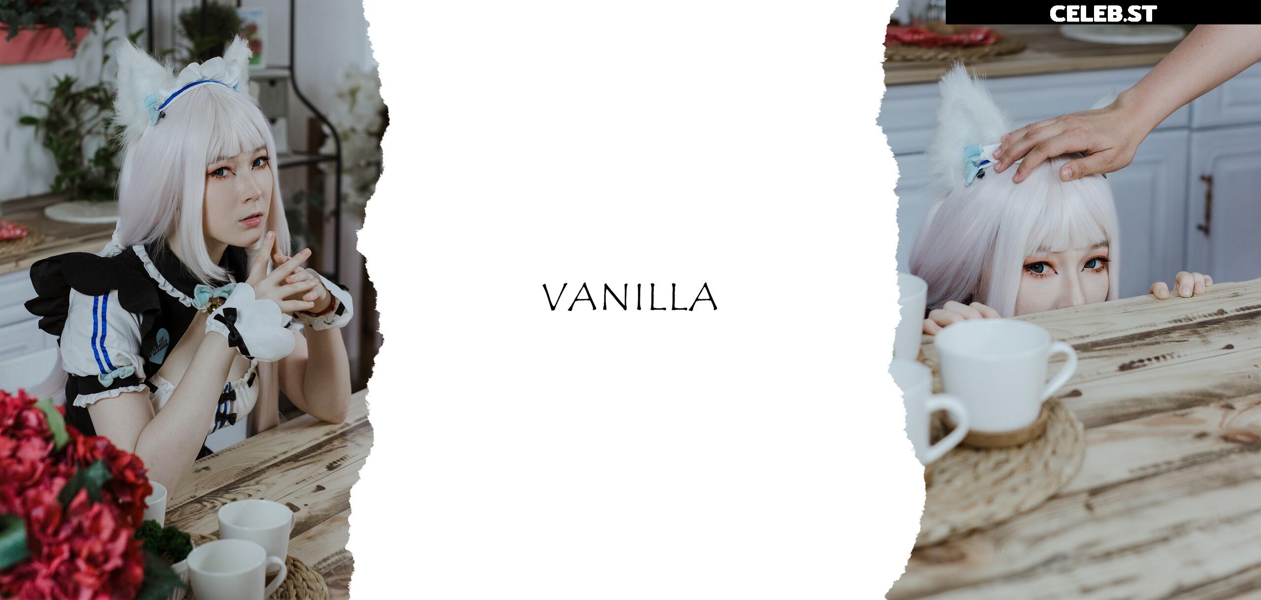 visagefox Image 12489722