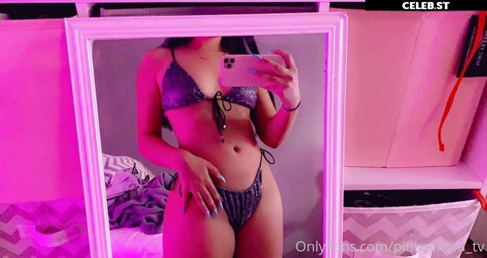 pinksakura Image 12358809