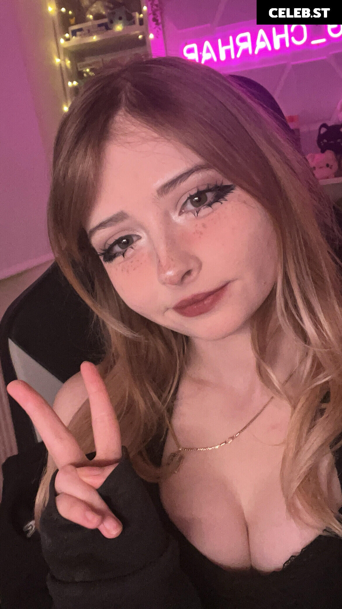 swag_charhar / Charlotte Harbour Image 12358873