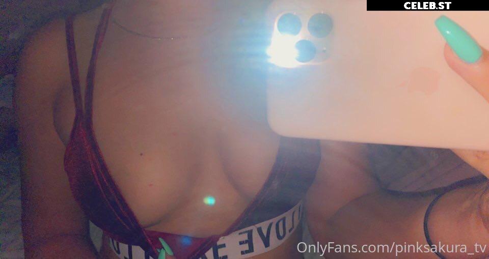 pinksakura Image 12358754