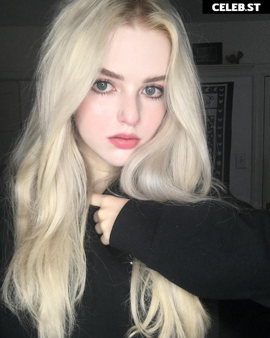 Fauxre Image 12358351