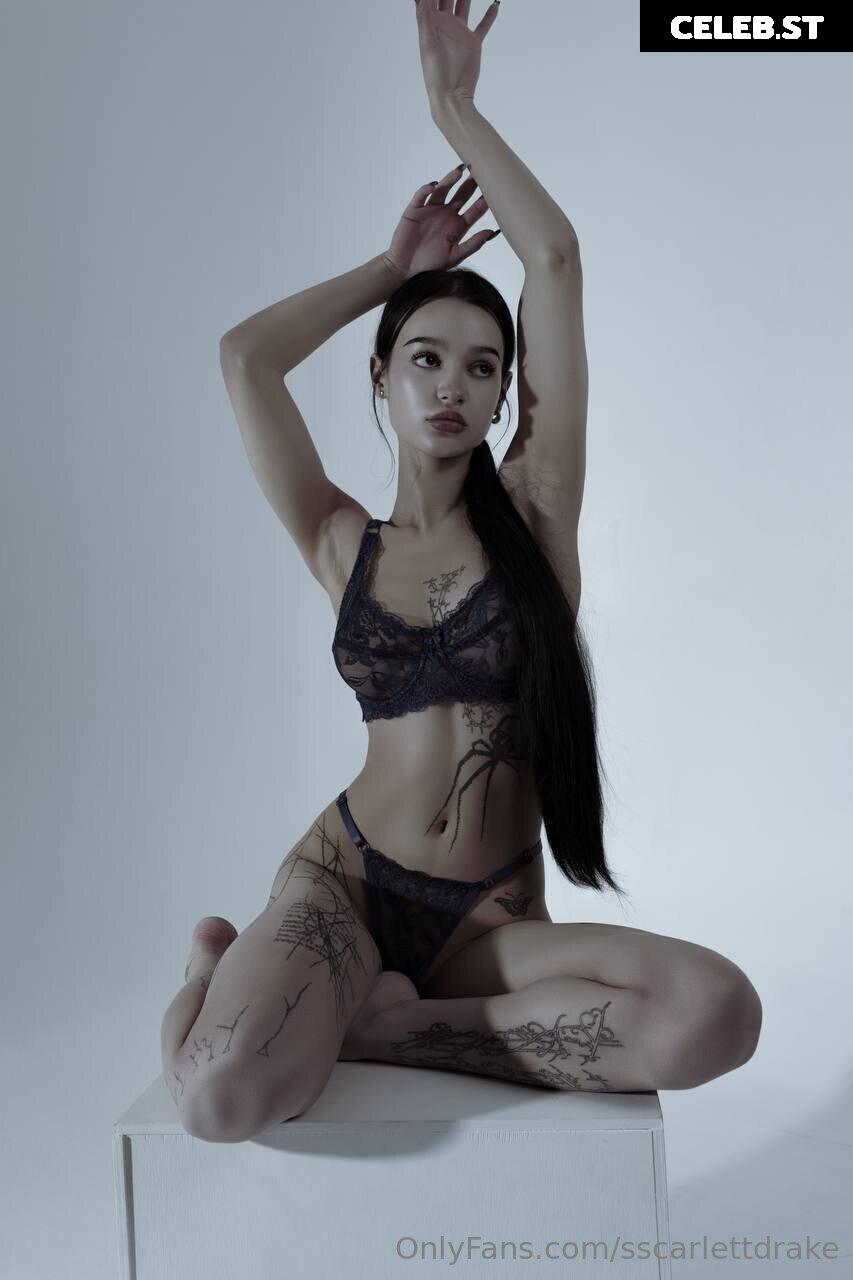 sscarlettdrake Image 12352162