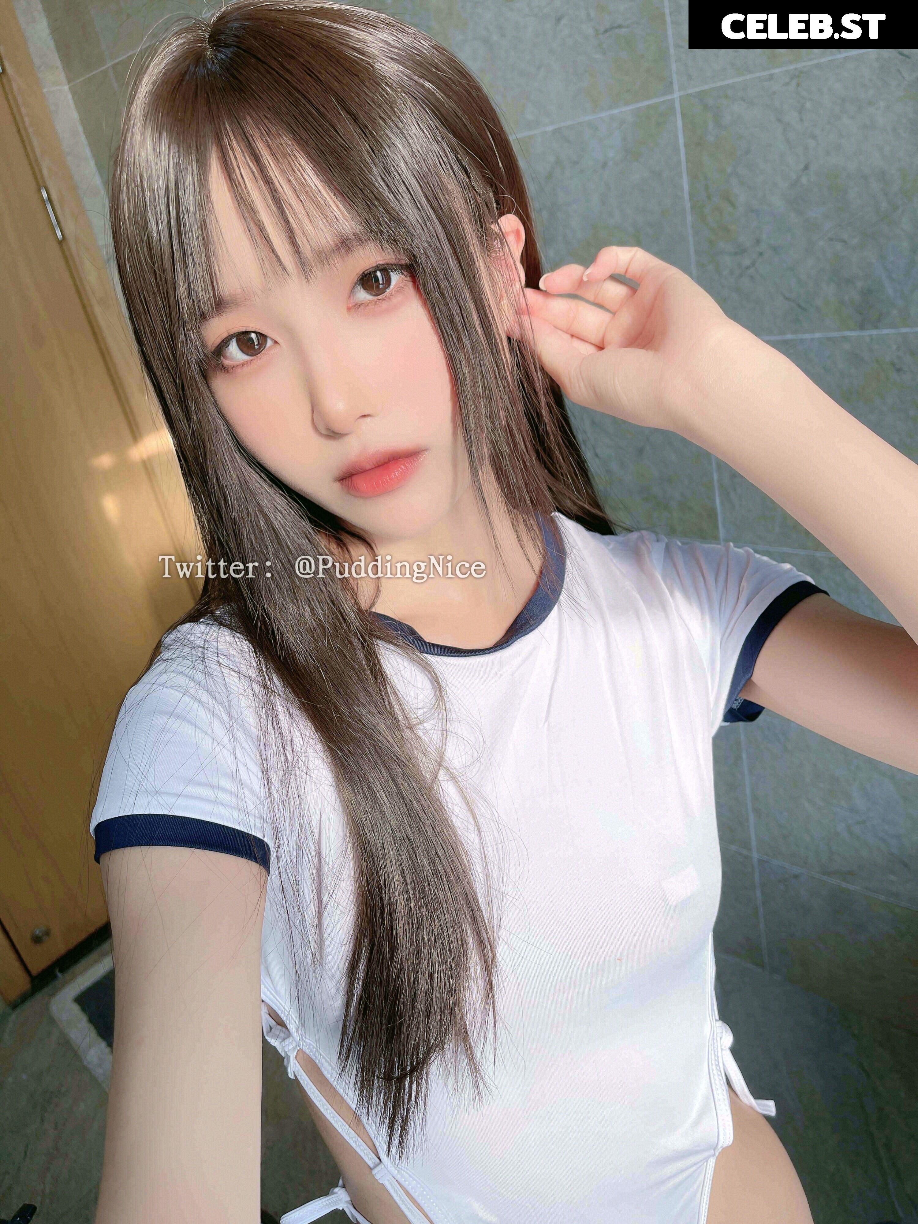 Puddingnice Image 12364366