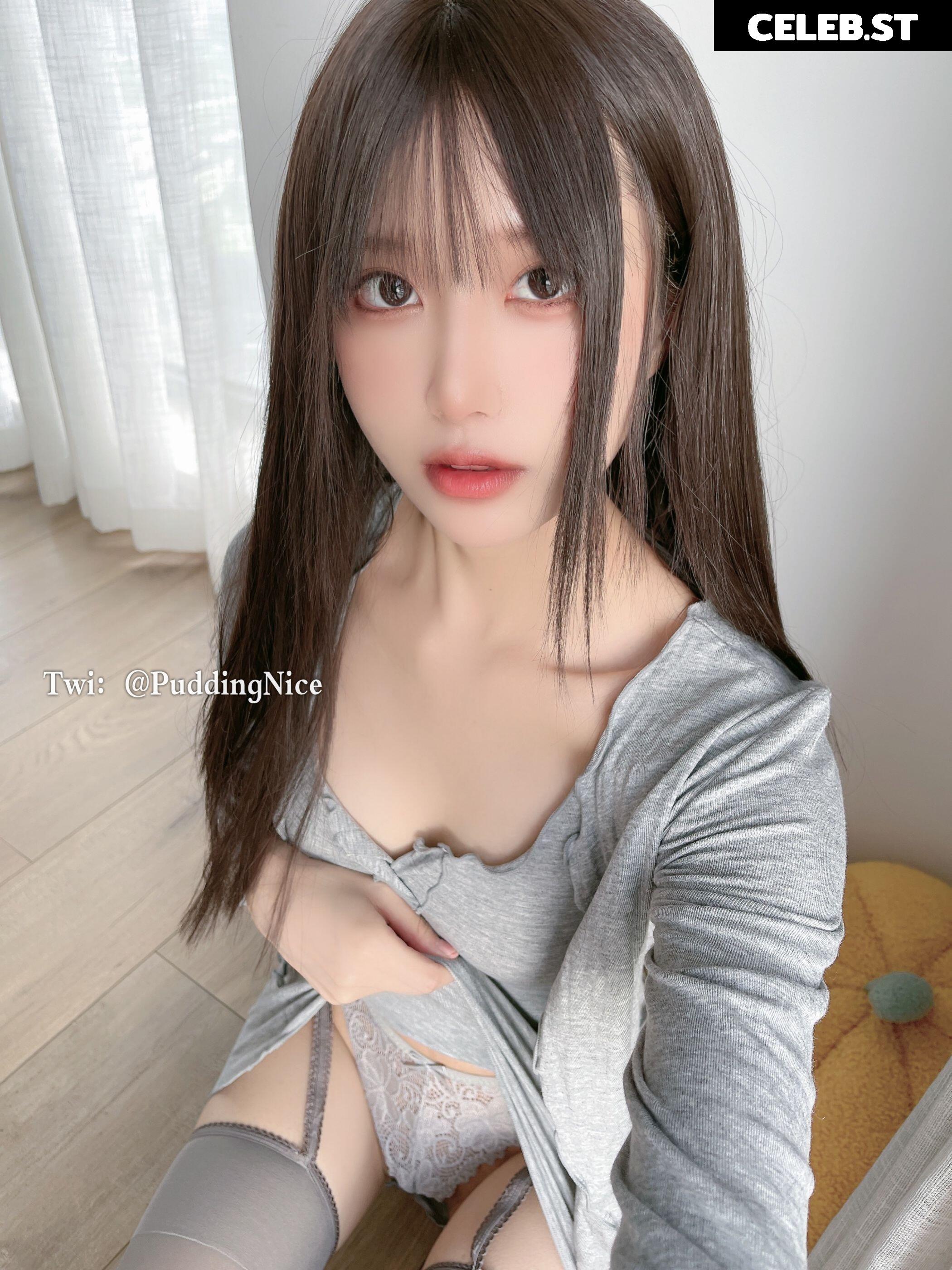 Puddingnice Image 12364352