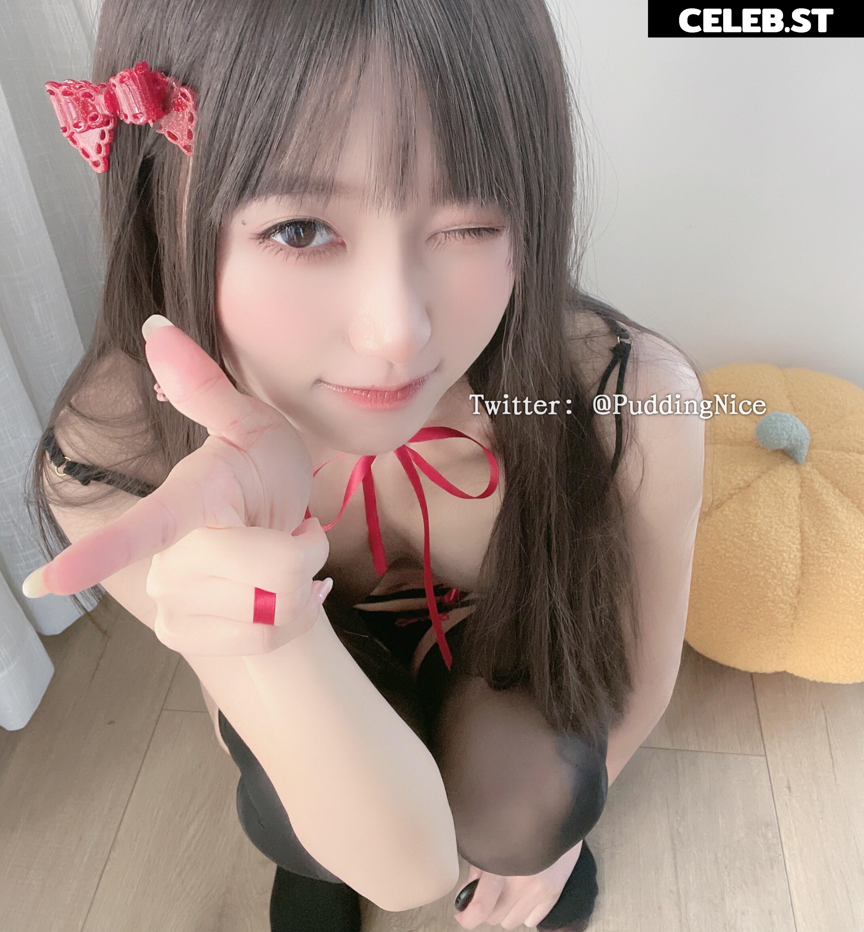 Puddingnice Image 12364354