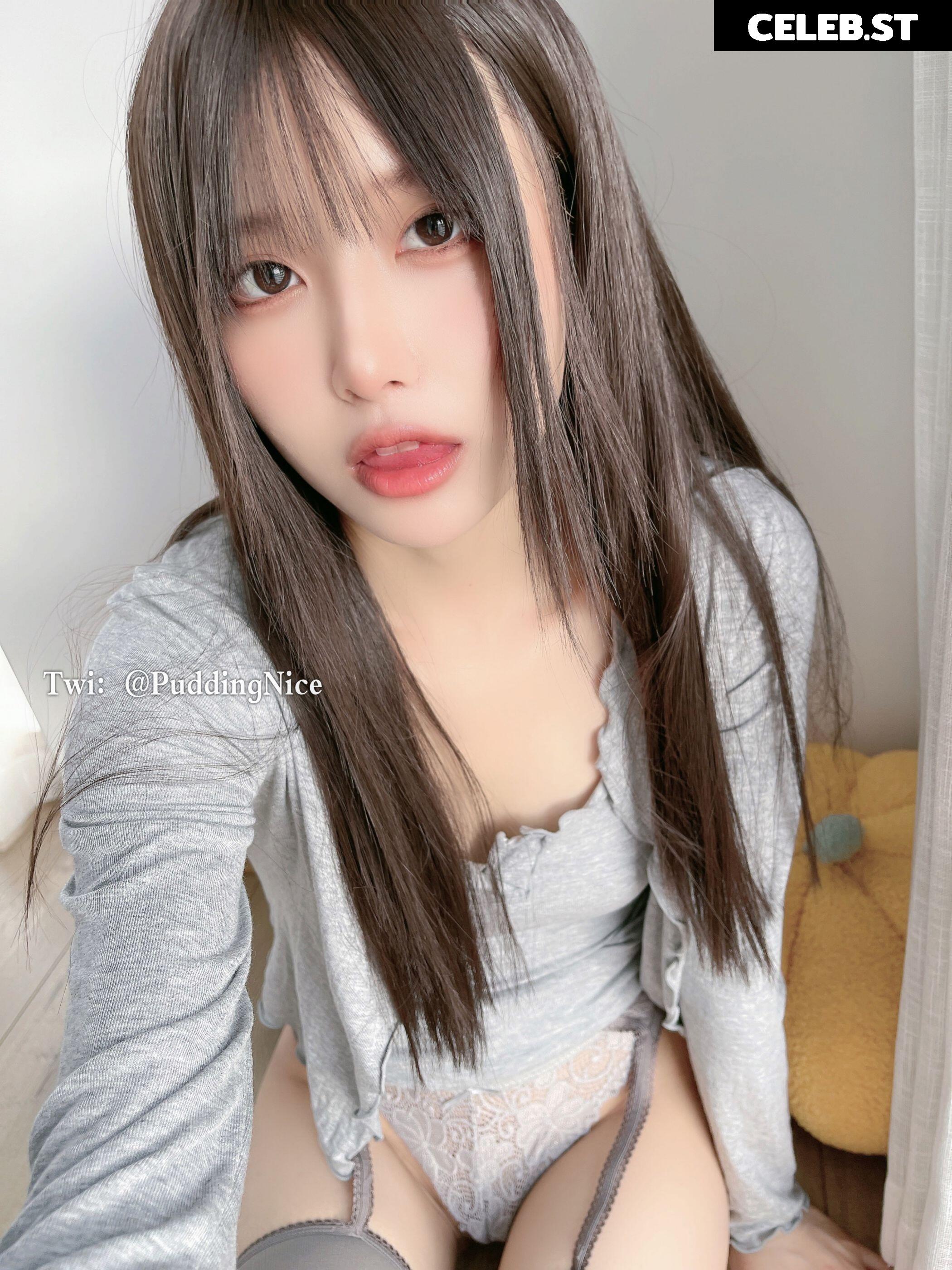 Puddingnice Image 12364347