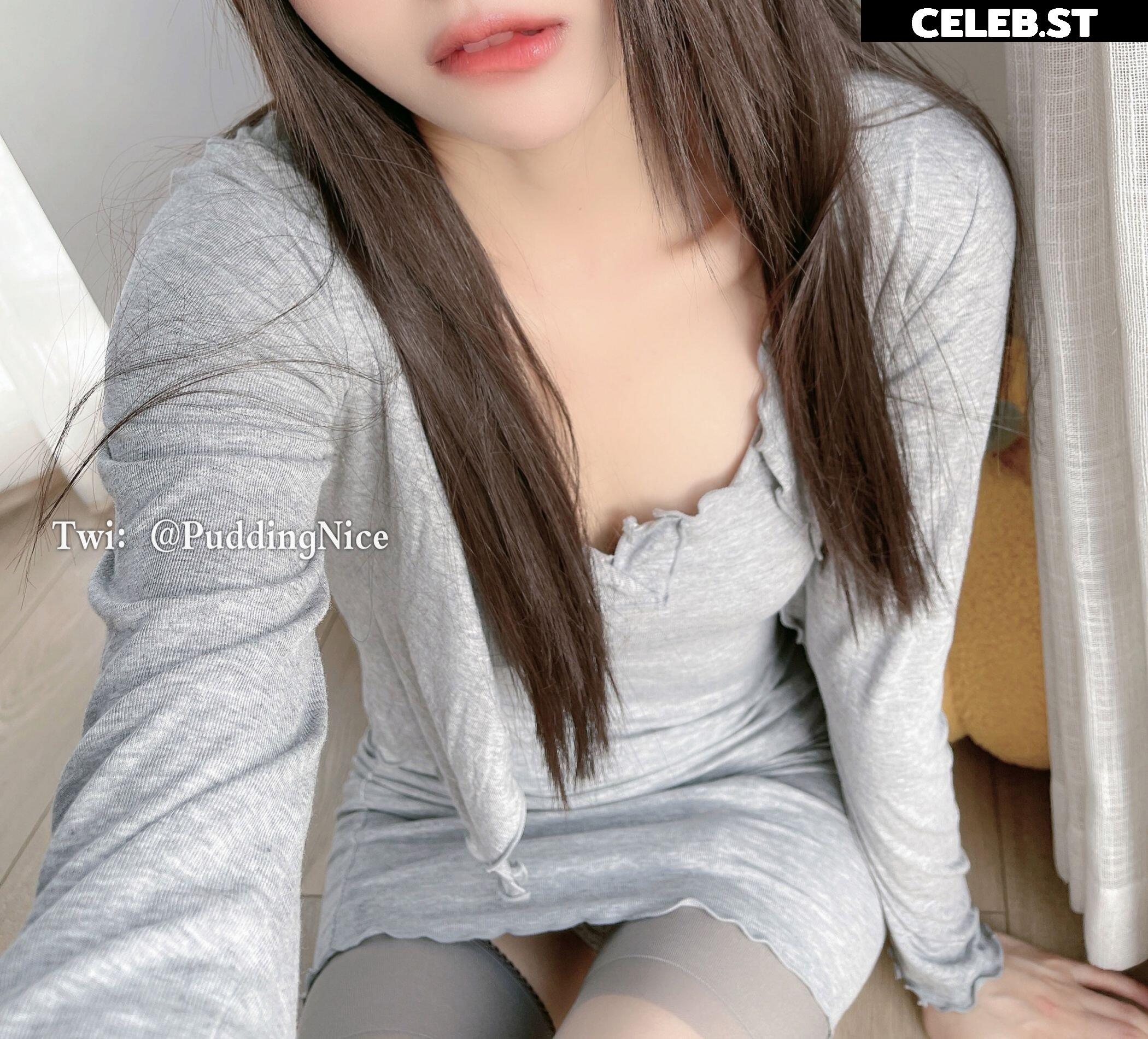 Puddingnice Image 12364344