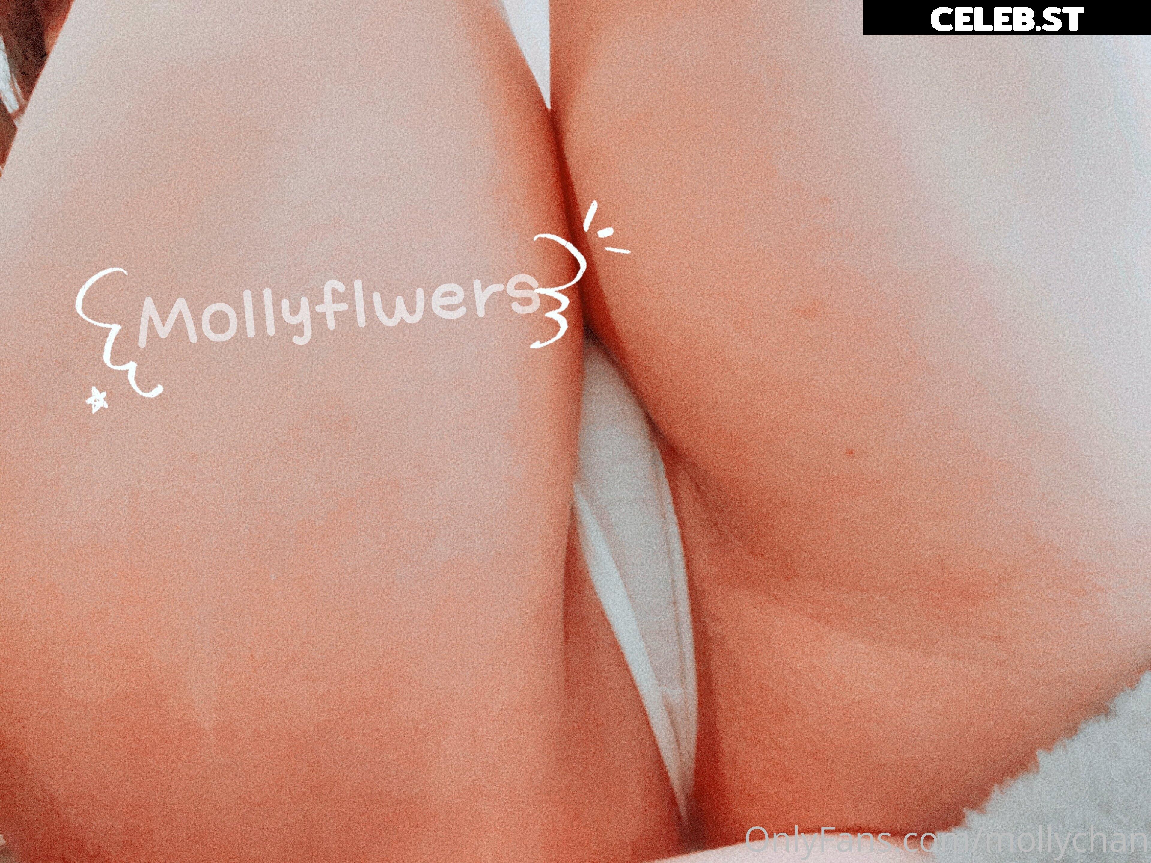 Mollyflwers | mollychan Image 12378908