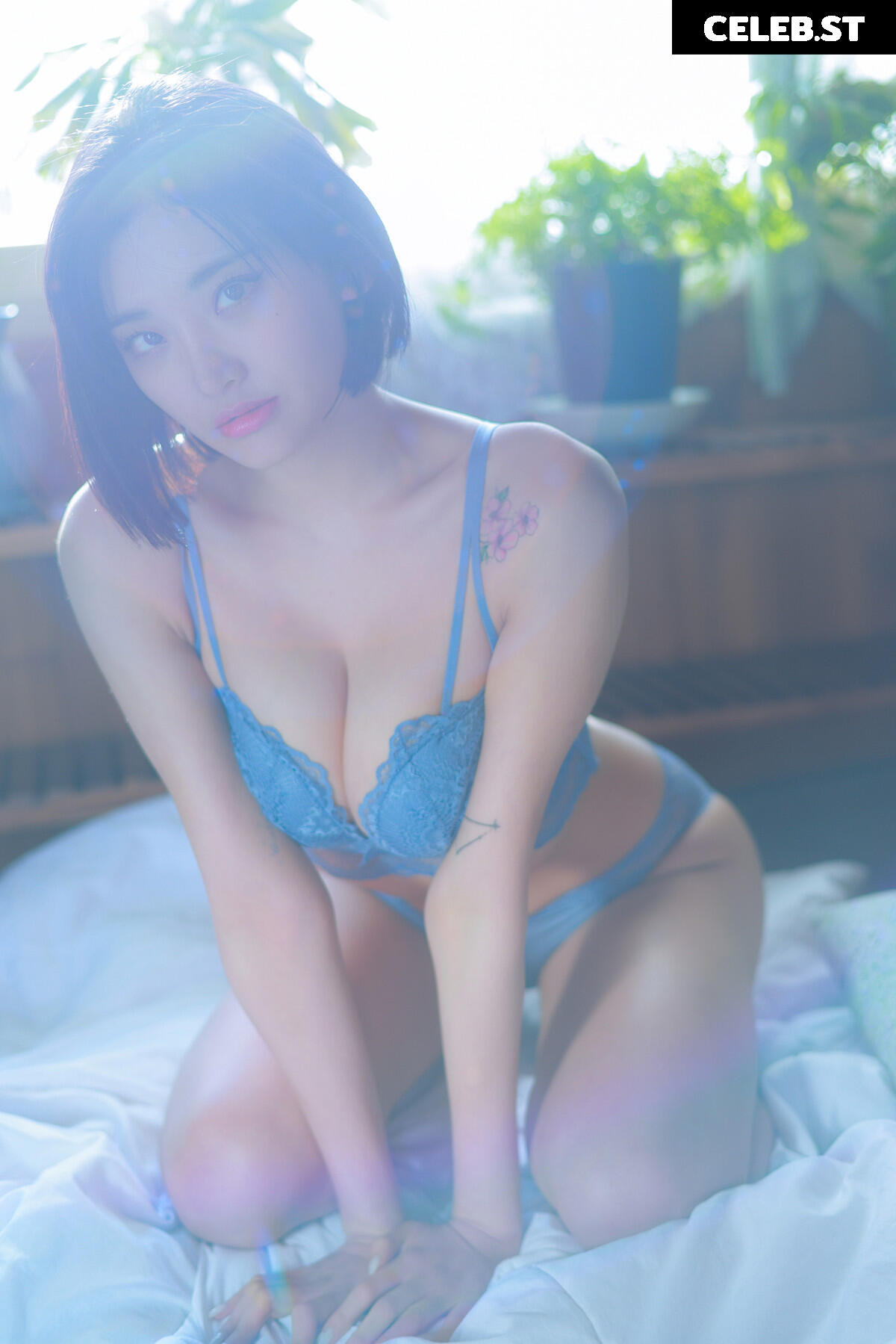 sul_a.ppp , 첼설아 , sul_a Image 12345684