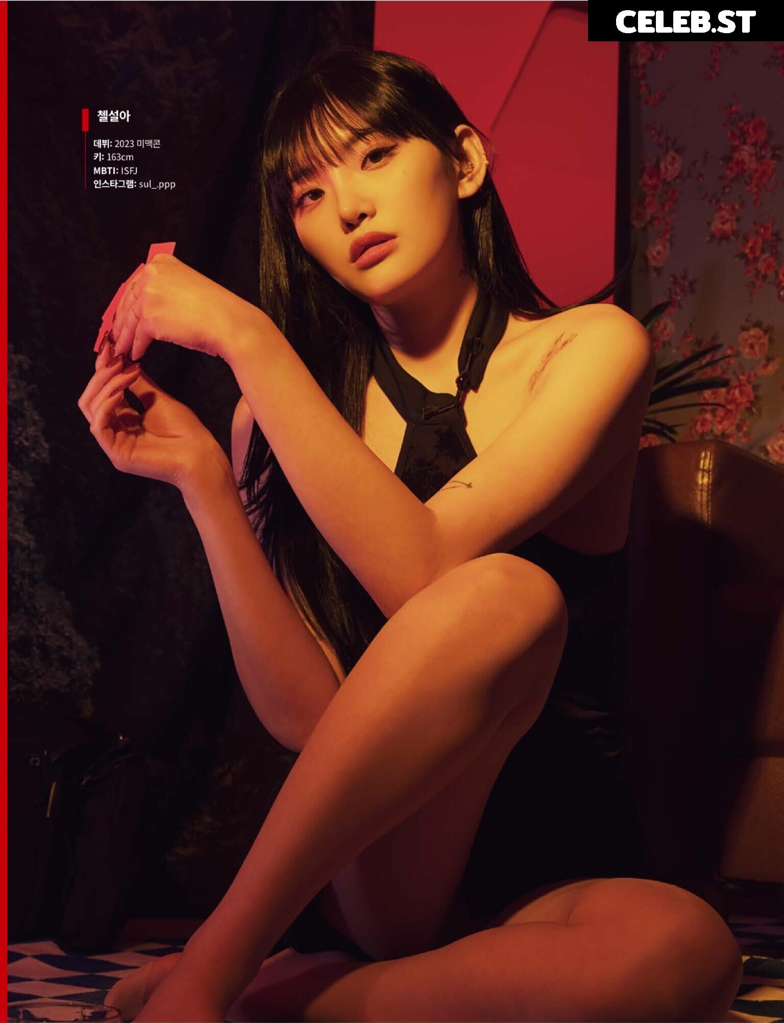 sul_a.ppp , 첼설아 , sul_a Image 12345074