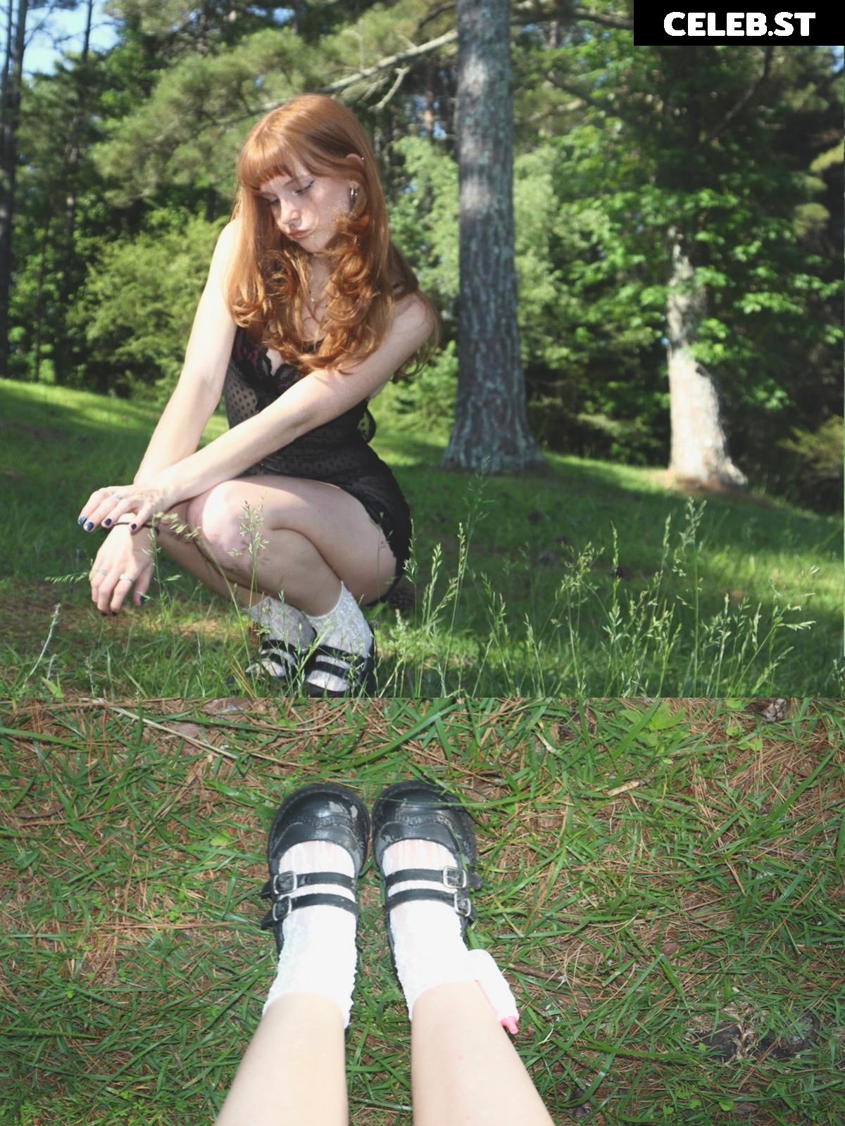 daffadil4 Image 12314187