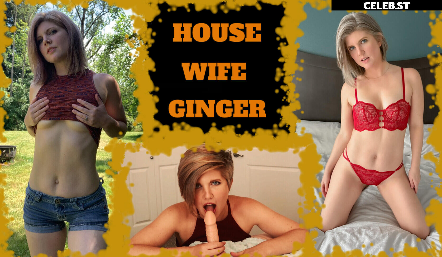 Housewifeginger Image 12310463