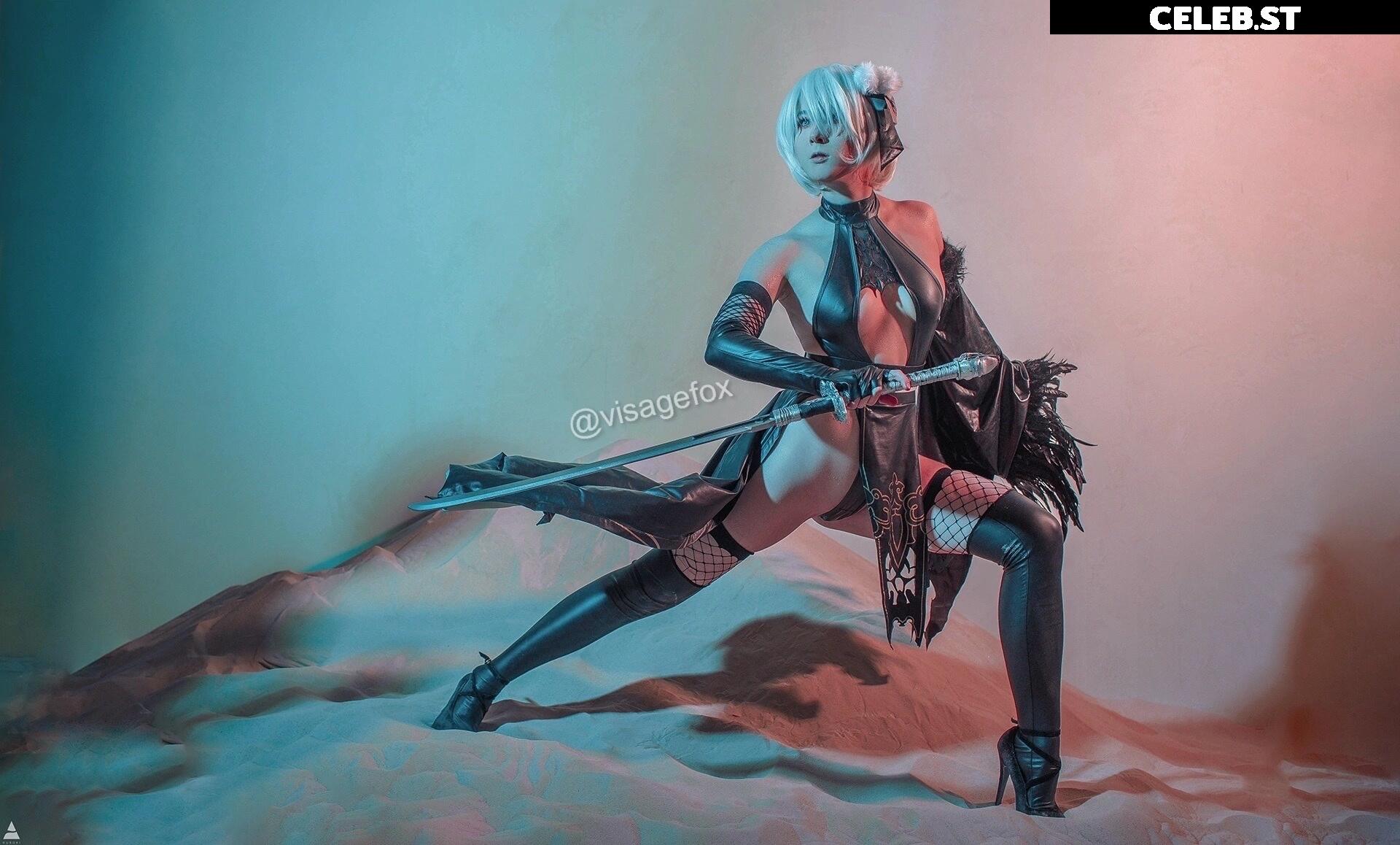 visagefox Image 12322582