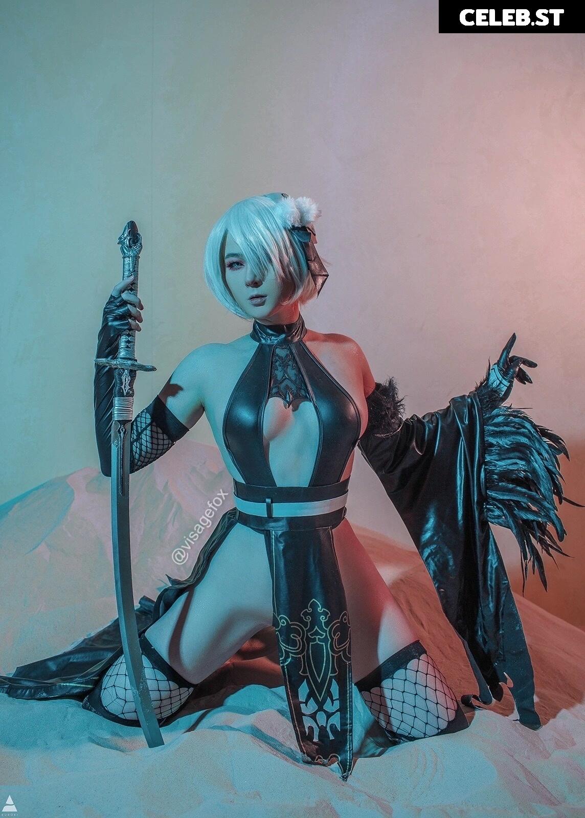 visagefox Image 12322581