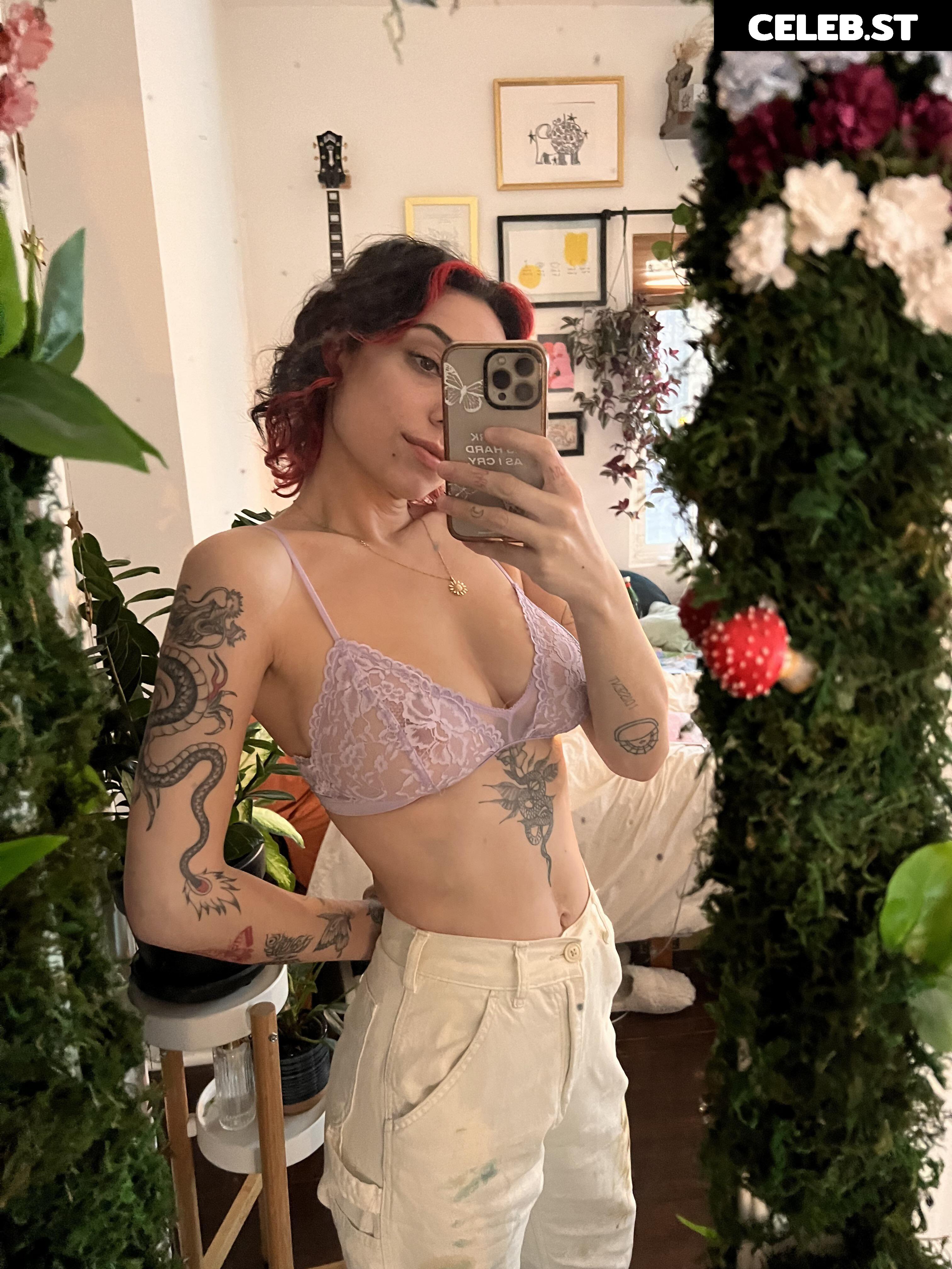 Serialcrusherravyn / @ravynstar Image 12337833