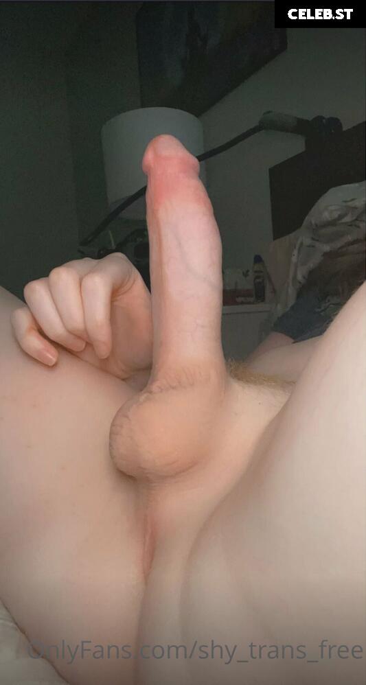 shy_trans Image 12330895
