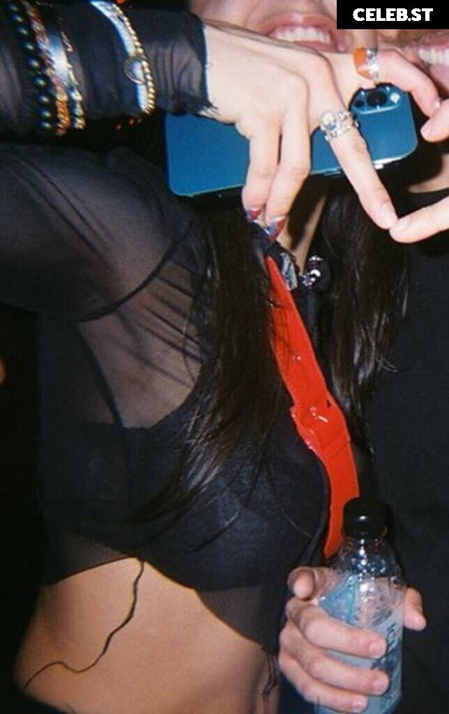 Antocarlesii Image 12302167