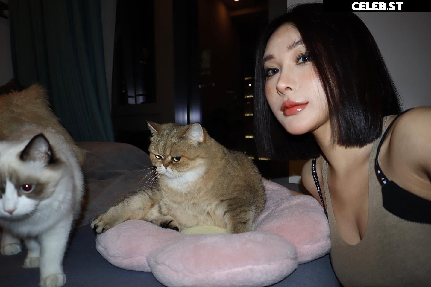 Ivy ai.lin20_ Image 12268177
