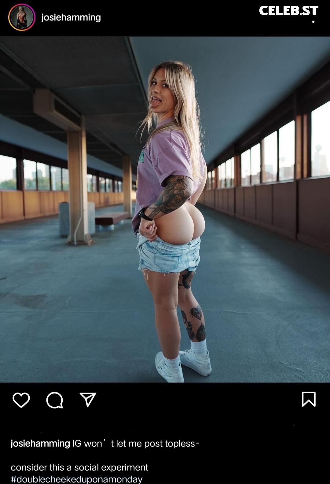 Josie Hamming Image 12267523