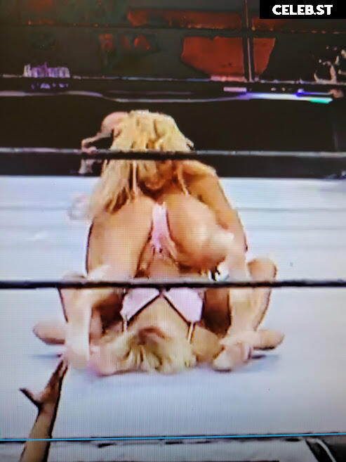 WWE Torrie Wilson Image 12271022