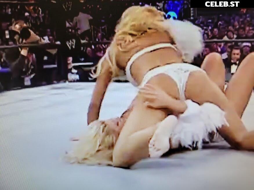 WWE Torrie Wilson Image 12271013