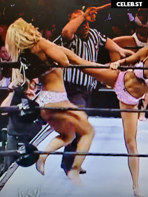 WWE Torrie Wilson Image 12271012