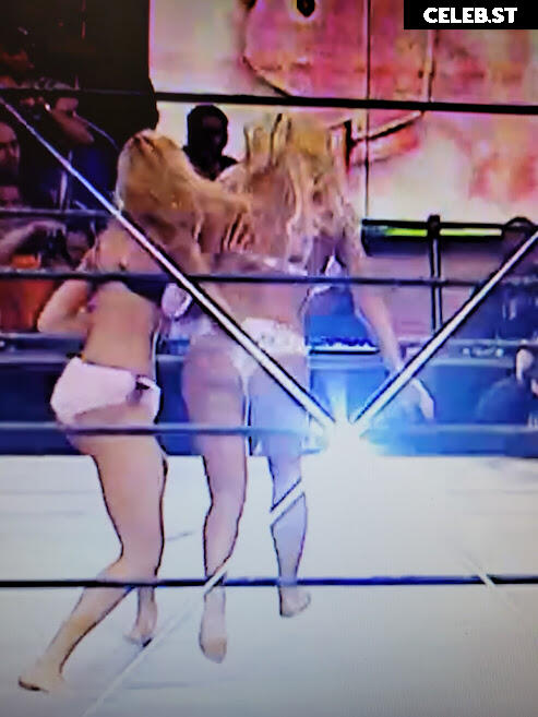 WWE Torrie Wilson Image 12271011