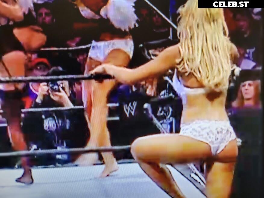 WWE Torrie Wilson Image 12271000