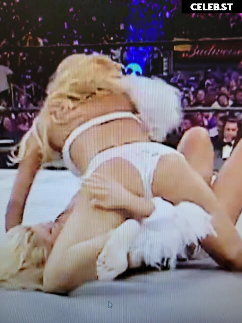 WWE Torrie Wilson Image 12271006