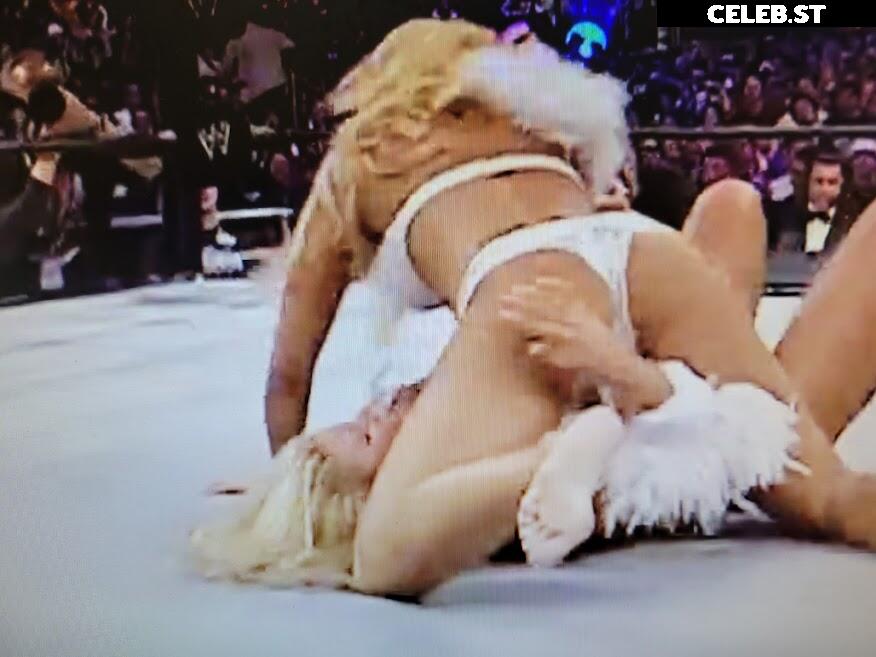 WWE Torrie Wilson Image 12271008