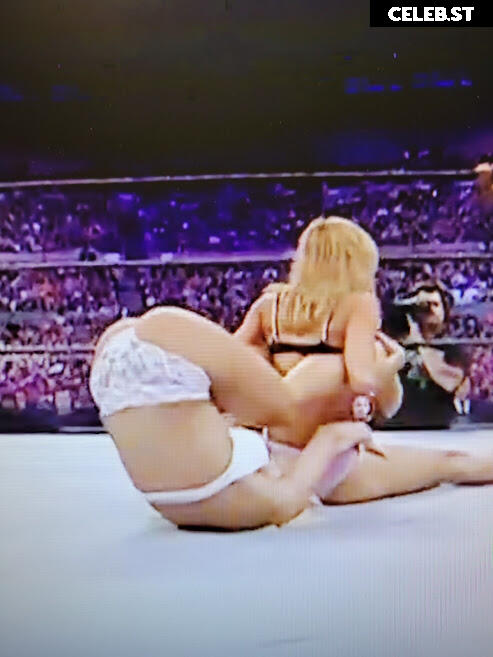 WWE Torrie Wilson Image 12271030