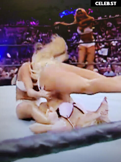 WWE Torrie Wilson Image 12271039