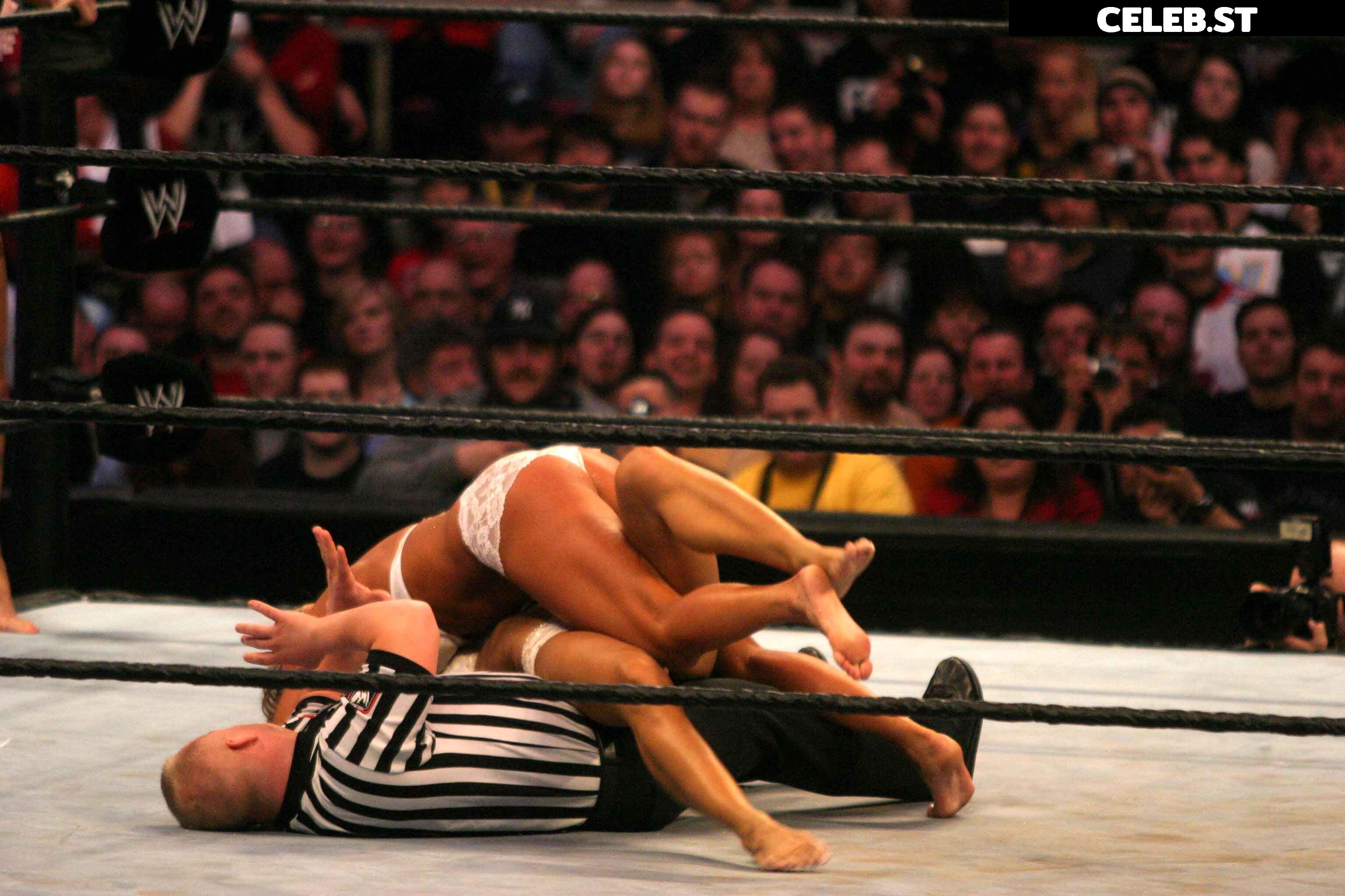 WWE Torrie Wilson Image 12270997
