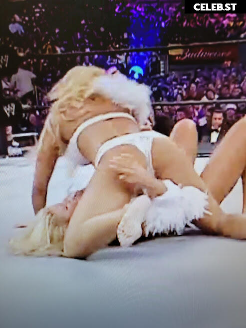 WWE Torrie Wilson Image 12270998