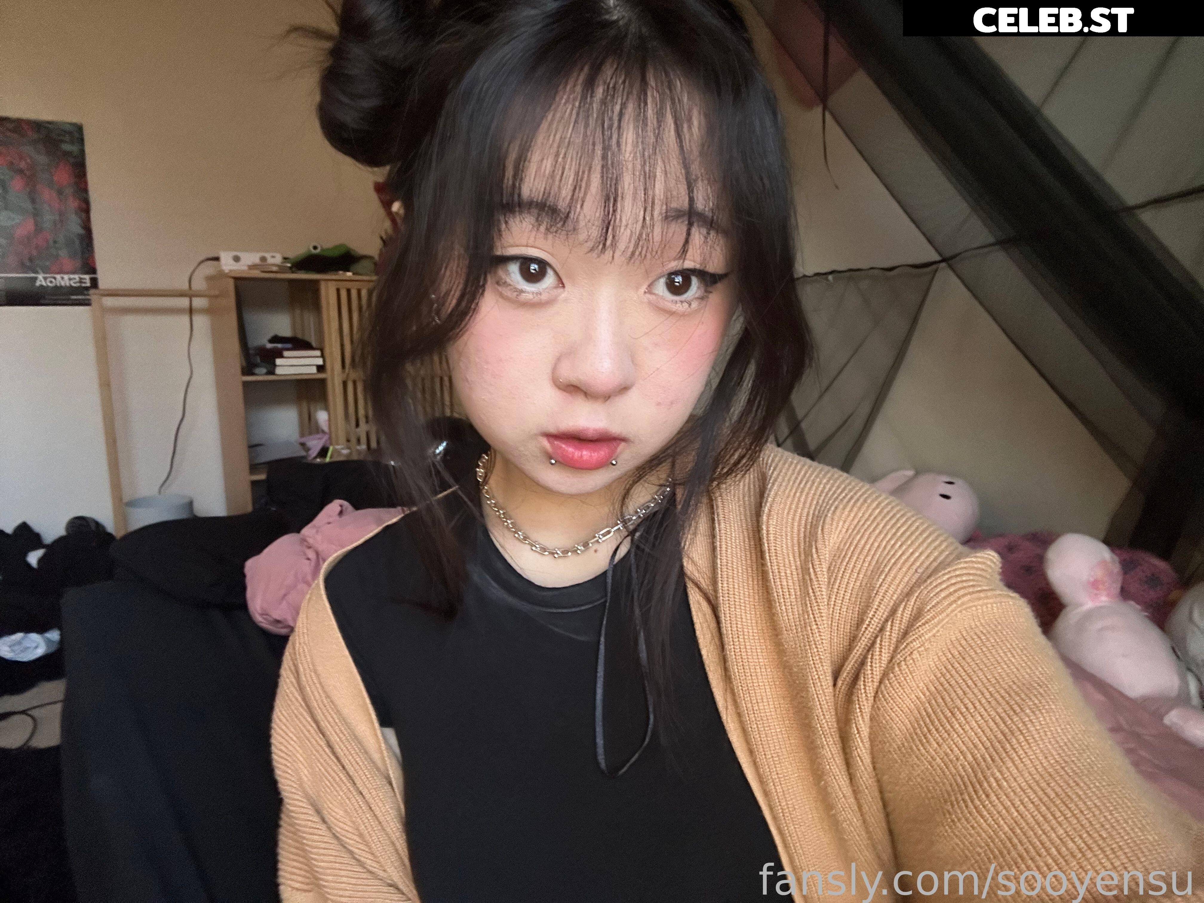 sooyensu Image 122419