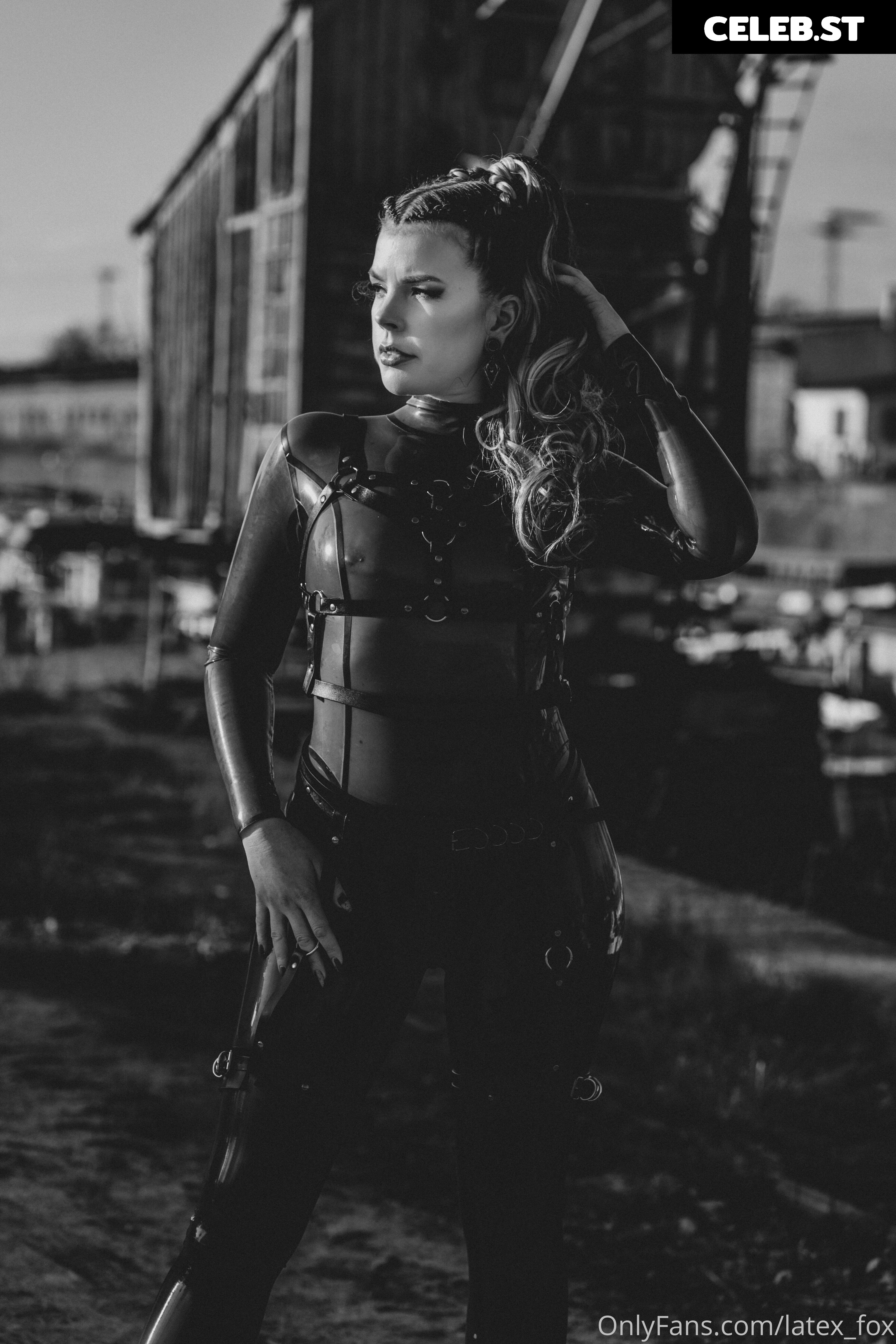 Latex Fox  /  Latex_Fox  /  LatexFox Image 12288529