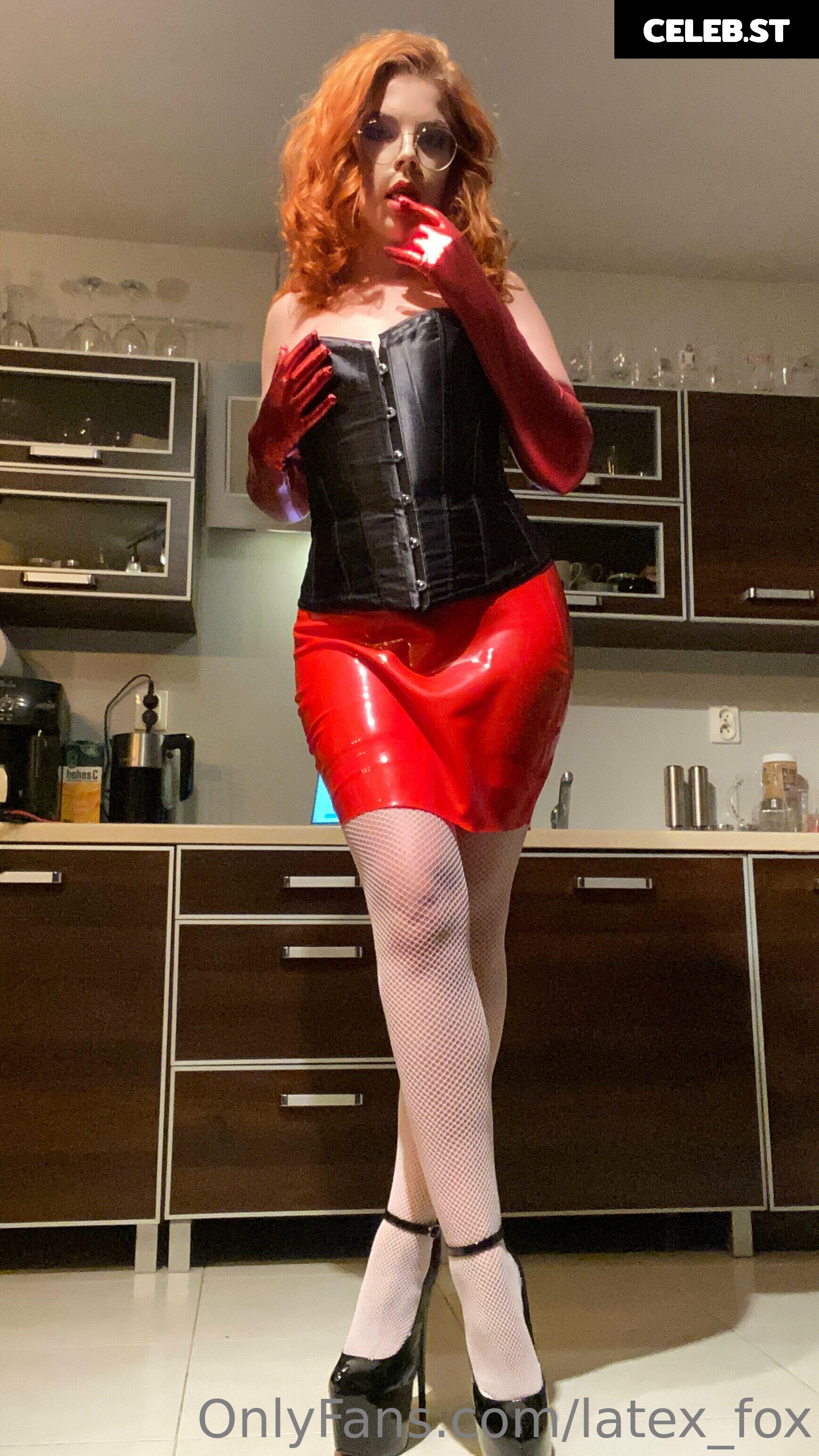 Latex Fox  /  Latex_Fox  /  LatexFox Image 12288511