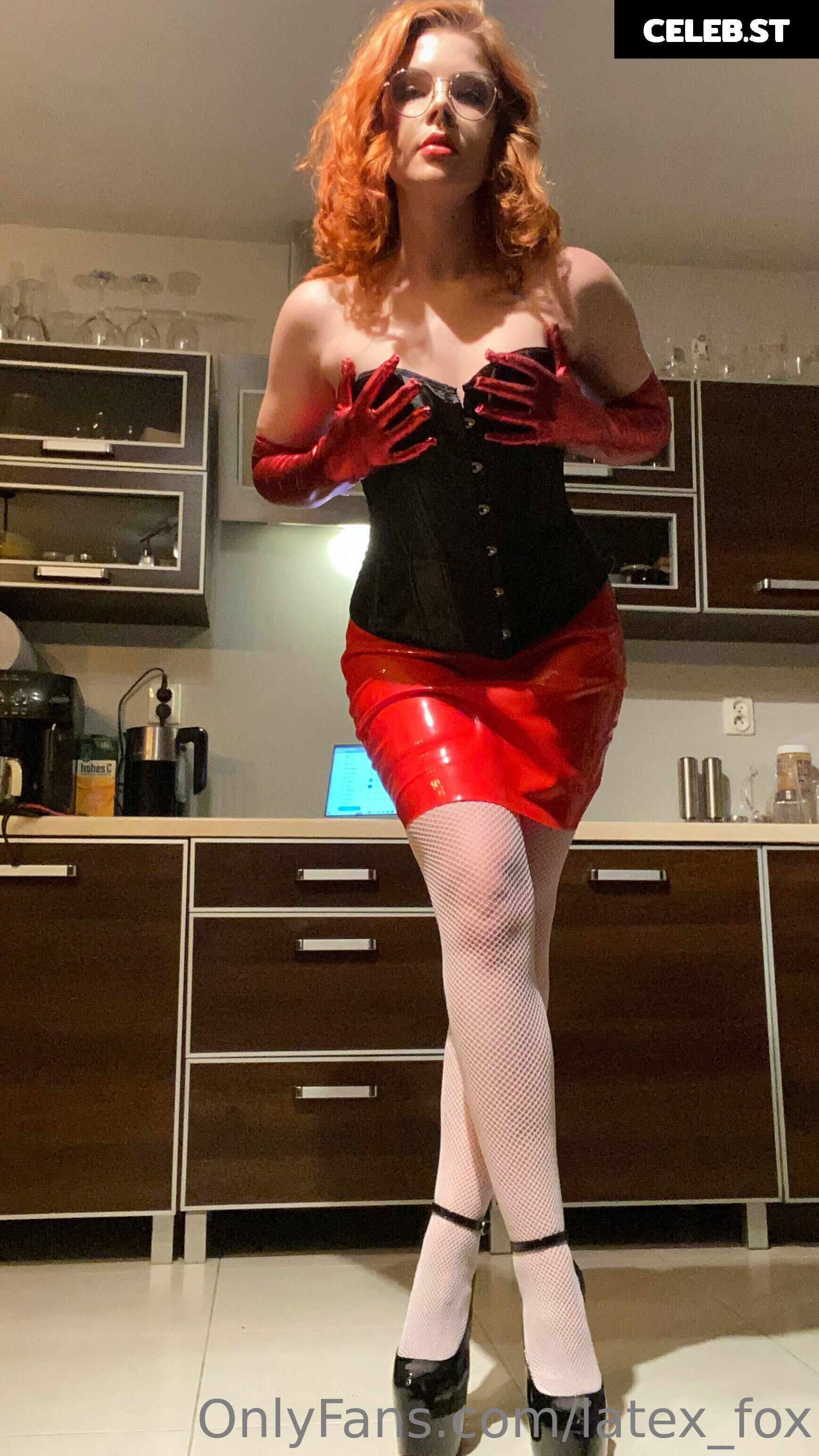 Latex Fox  /  Latex_Fox  /  LatexFox Image 12288505