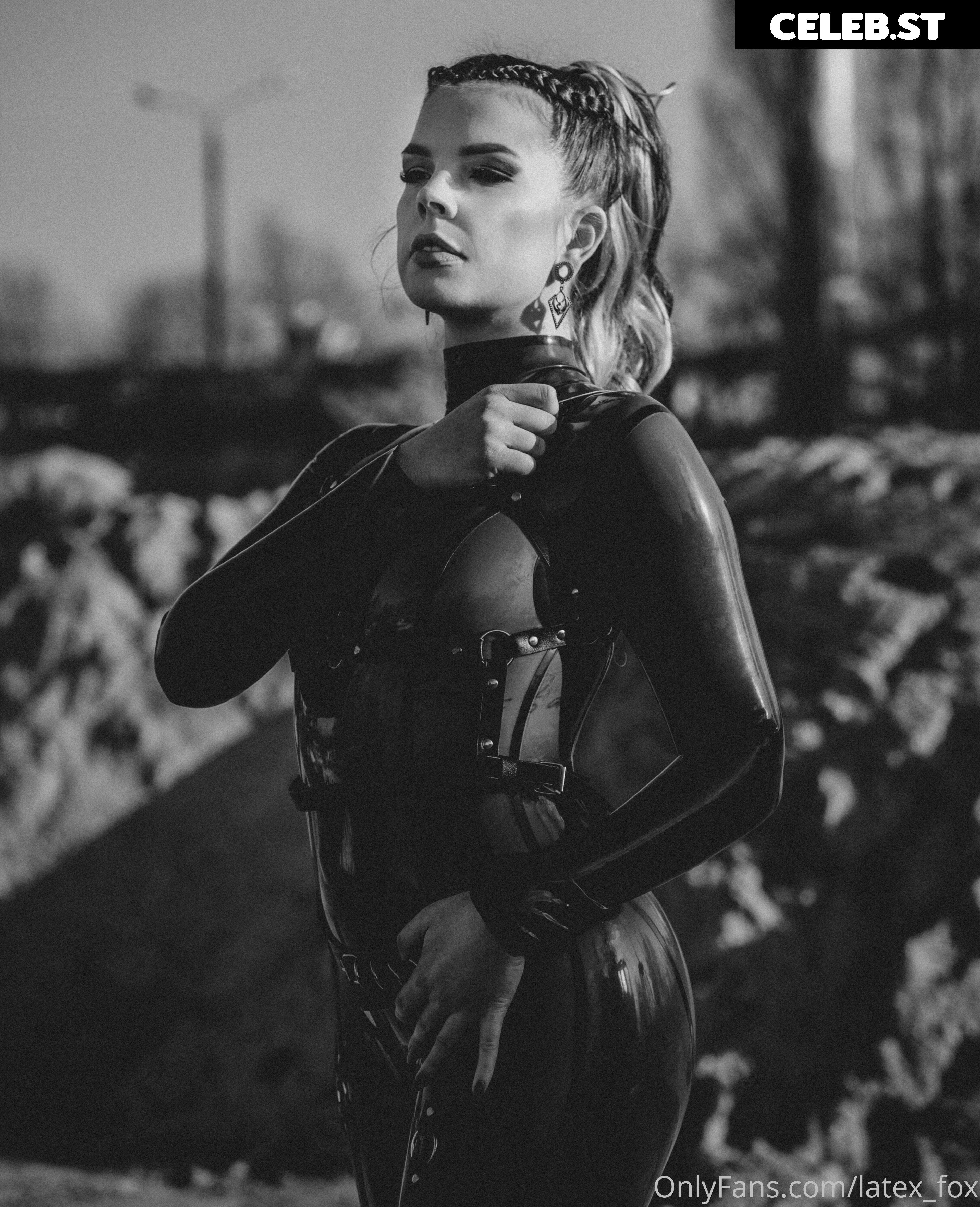 Latex Fox  /  Latex_Fox  /  LatexFox Image 12288550