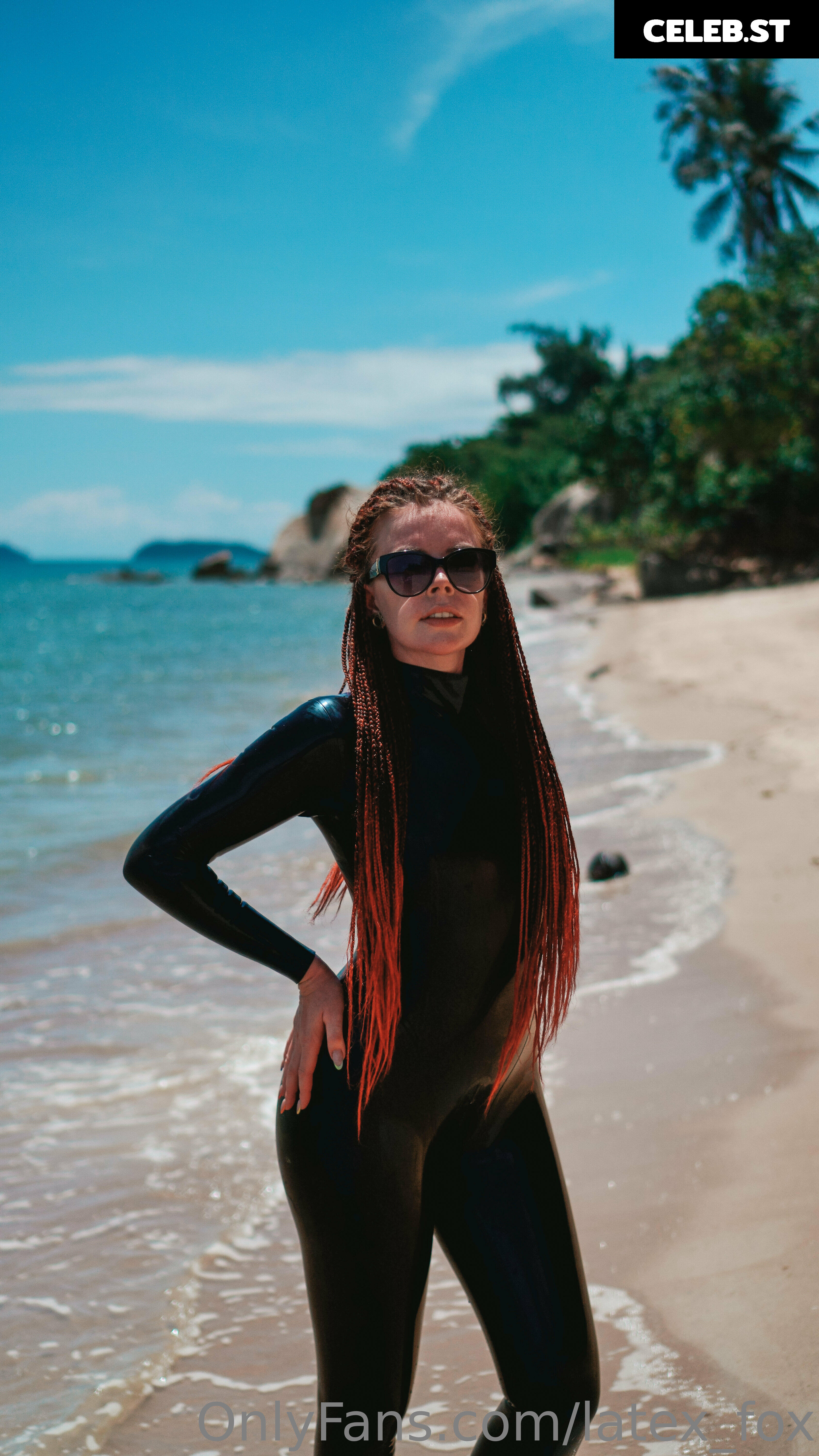 Latex Fox  /  Latex_Fox  /  LatexFox Image 12288544