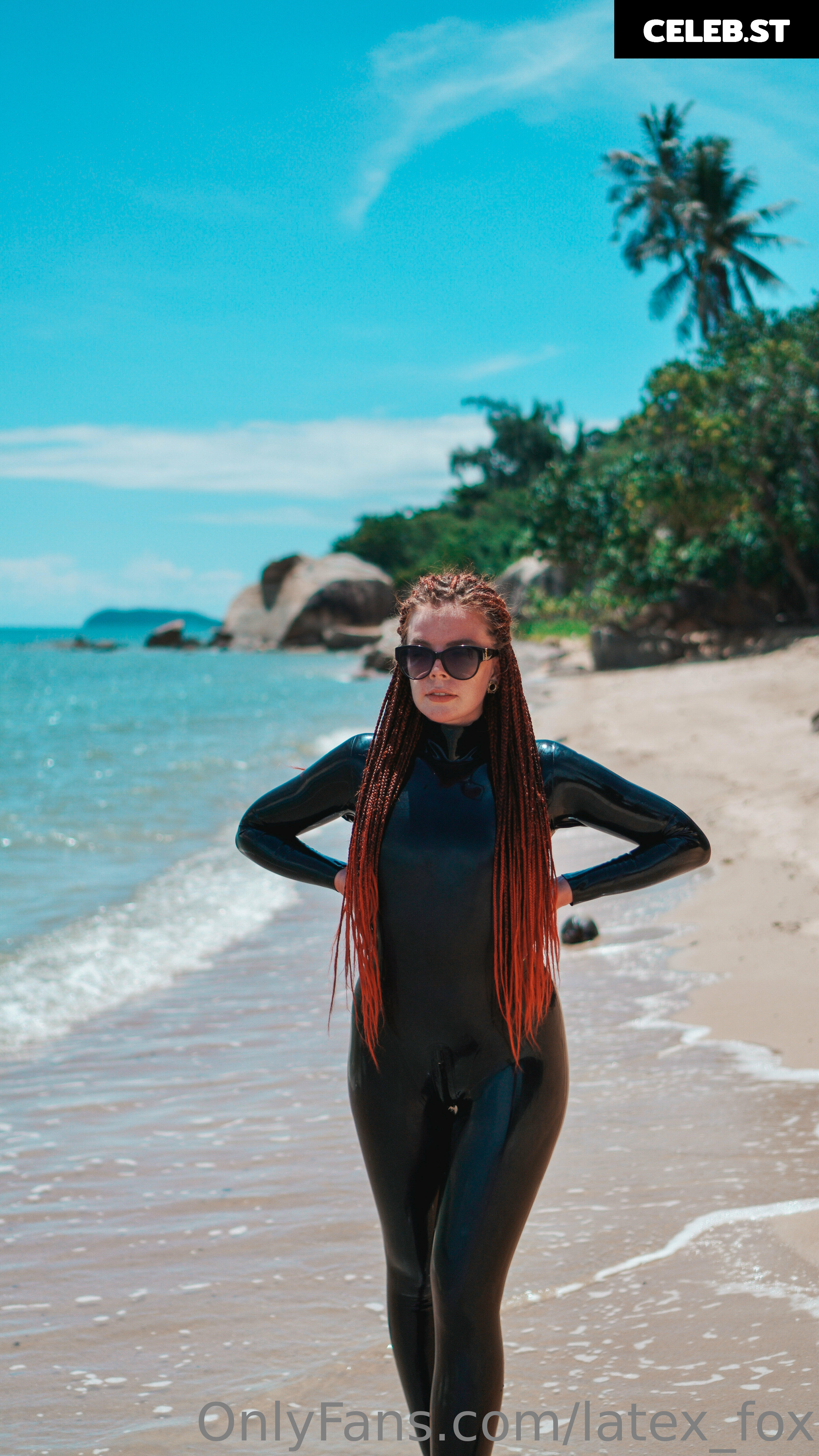 Latex Fox  /  Latex_Fox  /  LatexFox Image 12288548