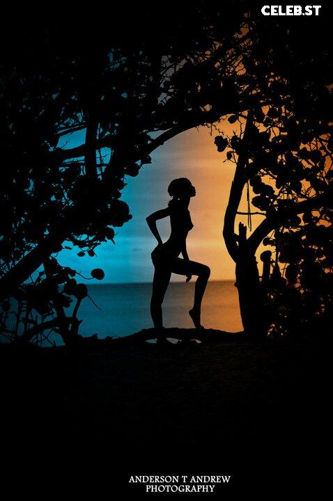 Xiea Hull Image 12280229