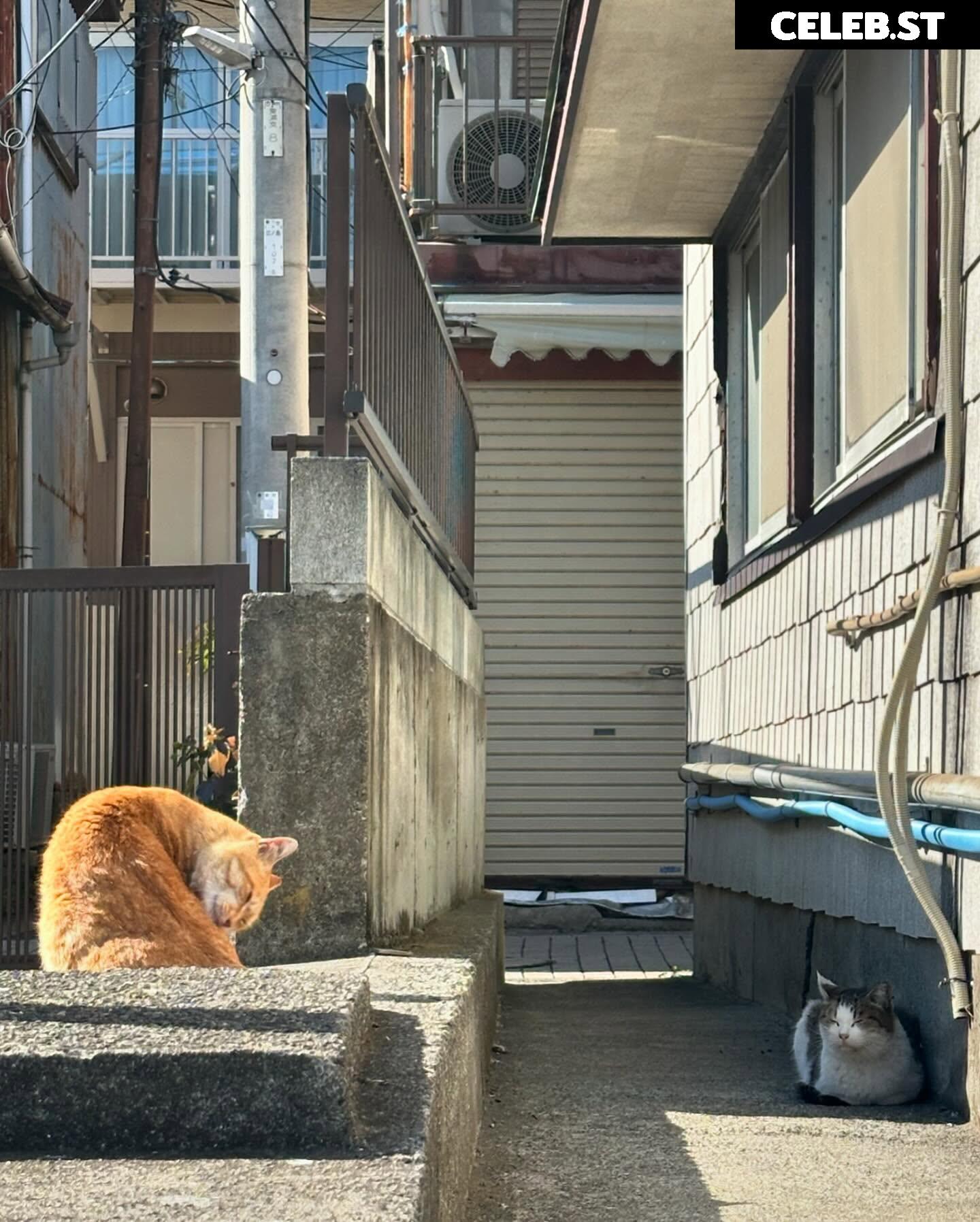 skr_u_ Image 12120675