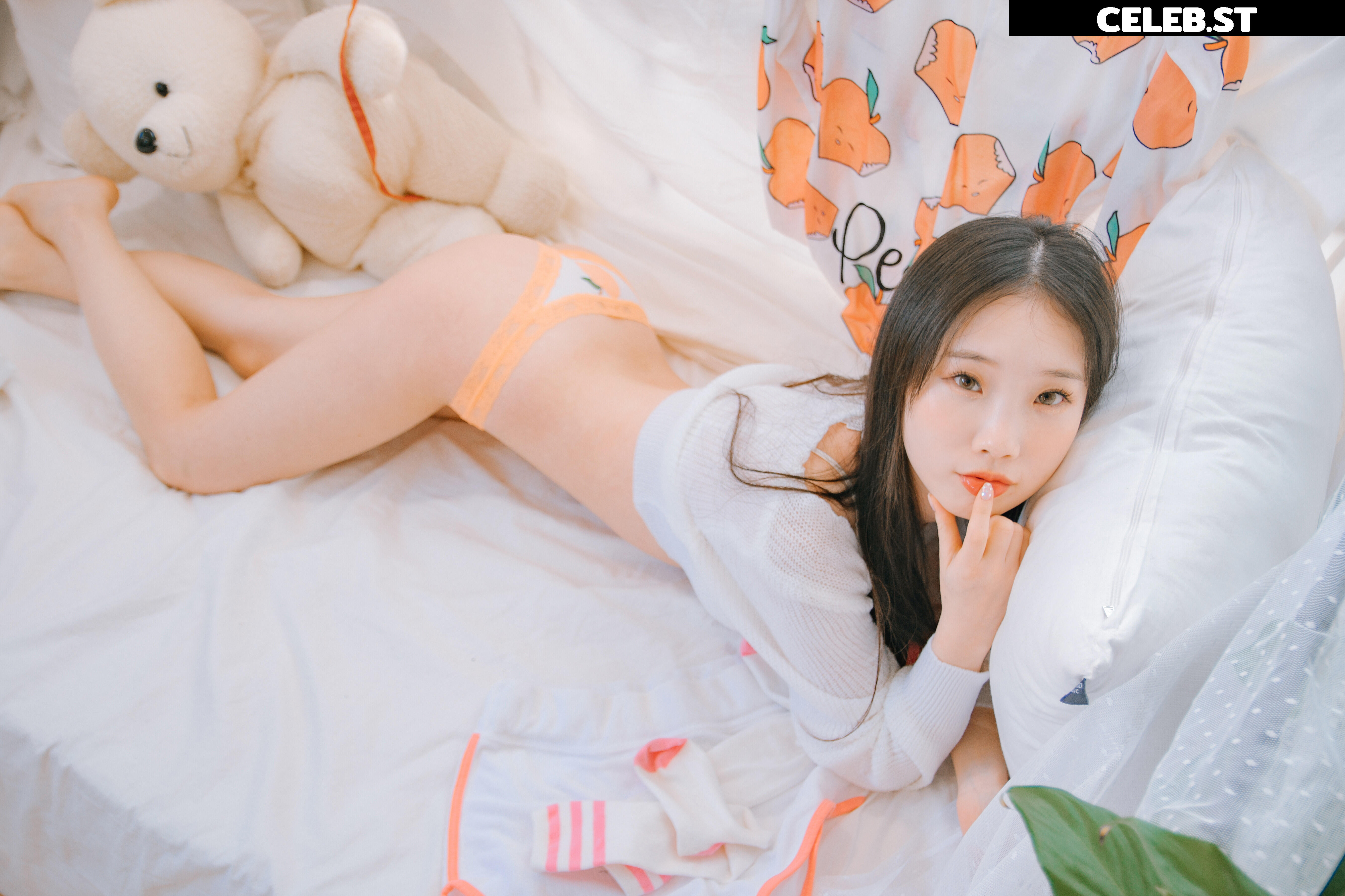 Pureding 퓨딩 Image 12138339