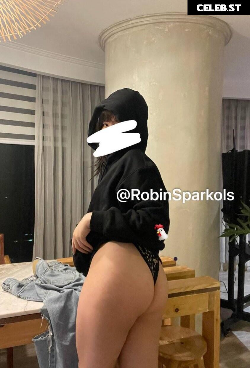 ChinitangIyakin/RobinSparkolz/Rob_Platypus/Chickenjoyyy Image 12134881