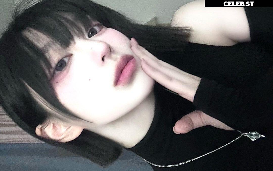 latulip_0 Image 12134209