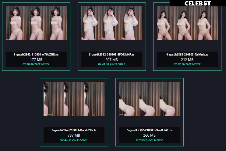 gusdk2362 Image 12100232