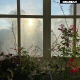 Mila Klein - Luna Rose Image 12050666